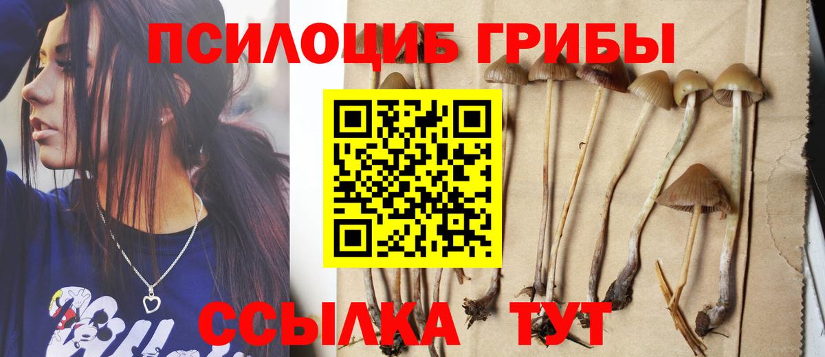 Псилоцибиновые грибы мухоморы Александров